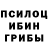 Псилоцибиновые грибы GOLDEN TEACHER Ruslan Levshin