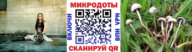 Псилоцибиновые грибы ЛСД  hydra ссылка  Евпатория  цены  